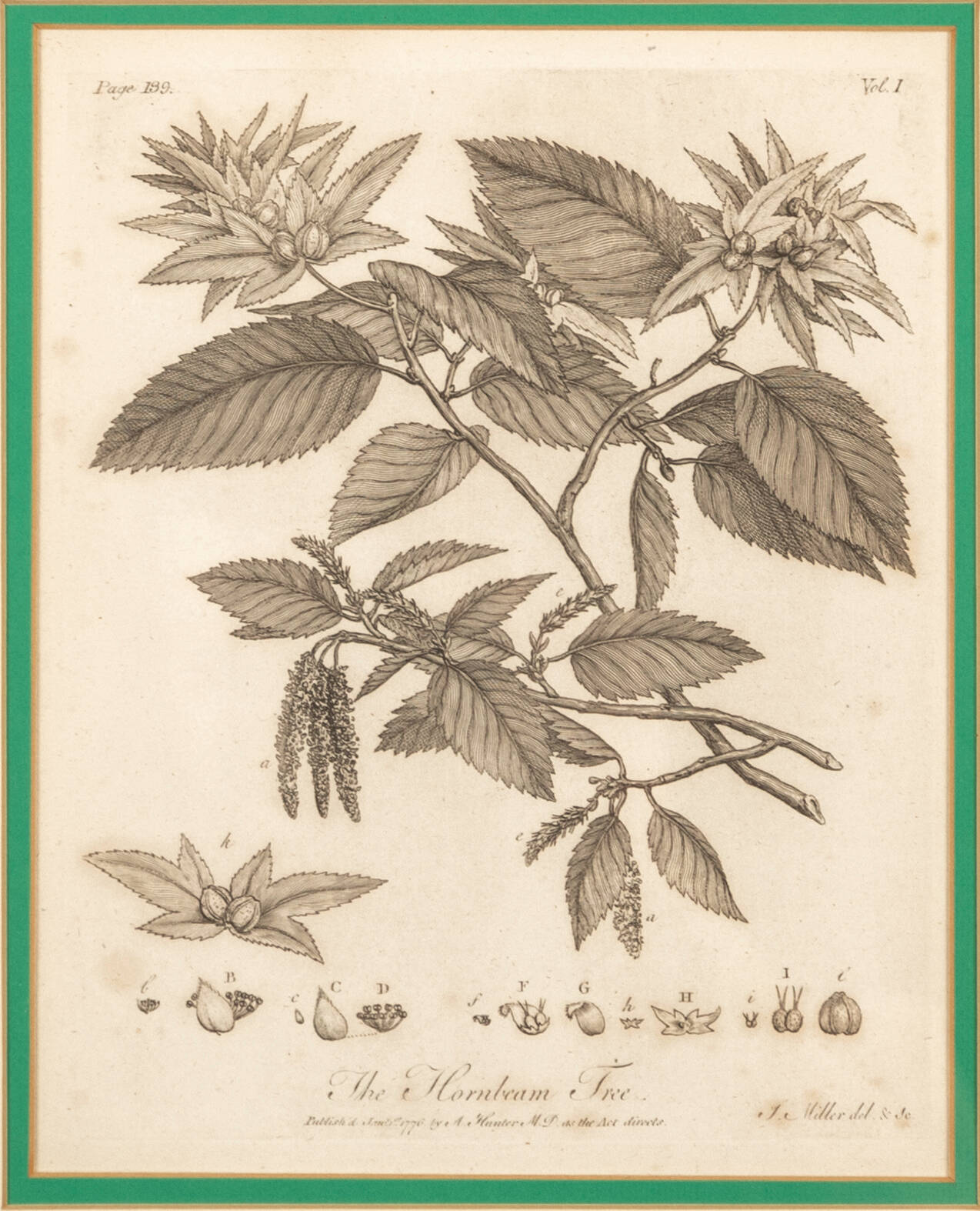 Black and white sketch-like print of a plant.